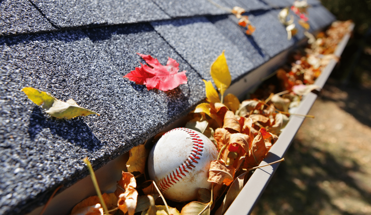 Home gutters full of leaves